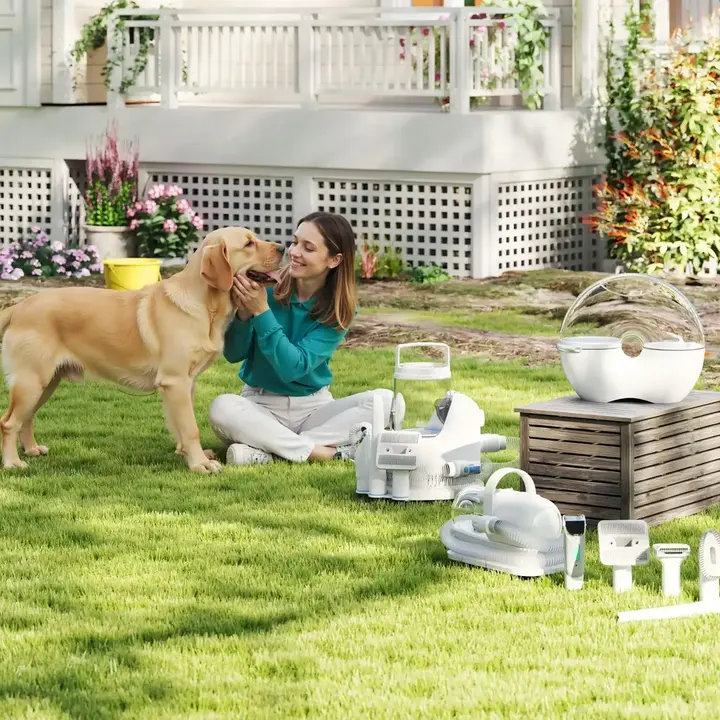 Smart pet feeder and happy cat